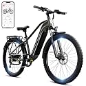 SISIGAD Electric Bike for Adults48V Removable