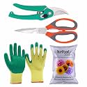 SIVON Gardening Tools Kit-4 Pcs (Garden Pruner, Garden Scissor, Gardening Gloves Green, Flower Seeds Packet) | Durable Gardening Tools | Home Gardening Tool Kit