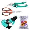 SIVON Gardening Tools Kit-4 Pcs (Garden Gloves with Claws, Garden Pruner, Garden Scissor, Flower Seeds Packet) | Durable Gardening Tools | Home Gardening Tool Kit