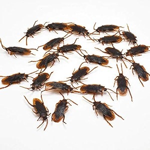 ska kid fake cockroach practical jokes and prank trick toys pack of 5pc brown