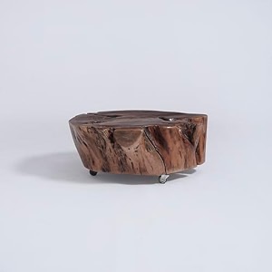 skema solid wood center coffee table for living room trunk
