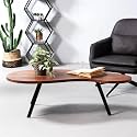 SKEMA Solid Wood Center Coffee Table for Living Room (Kidney)