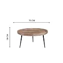 SKEMA Solid Wood Center Coffee Table for Living Room (Meta)