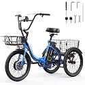 Skeri Ebike Electric Trike Peak 1000W Electric