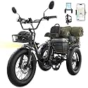 Skeri Electric Tricycle for Adults 750WPeak 1350W