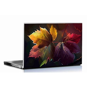 Skin Poster - Laptop Skin Stickers Fits