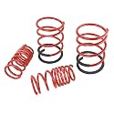 Skunk2 Racing 519-05-1670 Lowering Spring for 2002-2006 Acura RSX