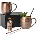 Sky Fish 3D Etched Moscow Mule Copper Plated Mugs Set of 2 Stainless Steel Mugs 18 oz Premium Gift Set with 2 Cocktail Copper Straws, Jigger