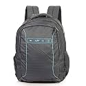 Skybags 20 Ltrs Grey Laptop Backpack (LPBPFOPHGRY)