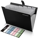 SKYDUE Accordion File Organizer, File Folders