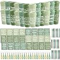 Skylety 24 Set/96 Pcs Team Appreciation Gift Set Inspirational Employee Appreciation Gift Bulk 16 oz Coffee Cups with Team Notebook Pen Keychains for Staff Teacher (Green Color)