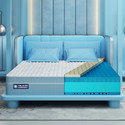 The Sleep Company Luxe Royale-Pro blend of