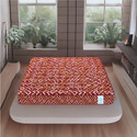 SLEEP SPA BACK SUPPORT Orthosense Cocopedic Tech 5 inch Single Coir Mattress (L x W: 72 inch x 35 inch)