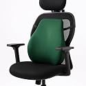 Sleepsia Back Support for Office Chair with 1 Year Warranty Lumbar Support Pillow for Office Chair for Back Pain, Car Seat, Memory Foam (Green Lumbar Back Support (Memory Foam))