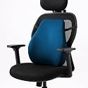 Sleepsia Back Support for Office Chair with 1 Year Warranty Lumbar Support Pillow for Office Chair, Car Seat, and Bed, Memory Foam, Blue