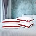 Sleepsia Microfiber Bed Pillow for Sleeping | Down Alternative Ultrasoft Cotton Washable Pillow | Soft Pillow (Cloud Red Pack 4) 17X 27