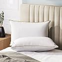 Sleepsia Microfiber Bed Pillow for Sleeping | Down Alternative Ultrasoft Cotton Washable Pillow | Soft Pillow (Pack of 2) Green/White (Golden Piping Pack of 2) 17X 27