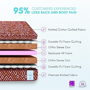 SLEEPSPA Back Support Orthosense Cocopedic Tech. 4