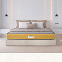 Sleepwell Orthopedic Pro Medium Firm Zero Partner