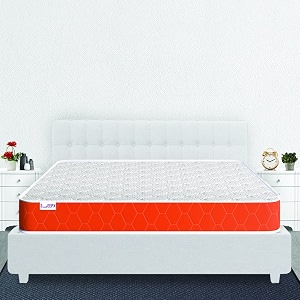 SleepX Dual Plus 8 Inch Queen Bed