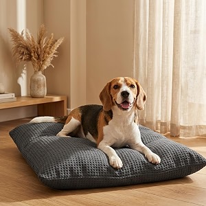 sleepycat original dog bed  cozy amp durable shredded foam cushioning  lightweight amp portable  scratch water amp chew resistant fabric  machine washable cover  grey extra large54 x 36 inches