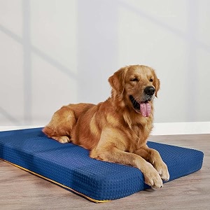 sleepycat orthopedic dog bed for senior amp large dogs  cozy amp durable hd foam pet bed for joint pain relief  scratch chew amp water resistant fabric  machine washable cover blue large 48x24 inch