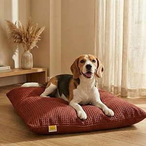sleepycat original dog bed  cozy amp durable shredded foam cushioning  lightweight amp portable  scratch water amp chew resistant fabric  machine washable cover  red medium 36 x 26 inches
