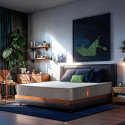 Sleepyhead Flip Designed by Duroflex - Premium