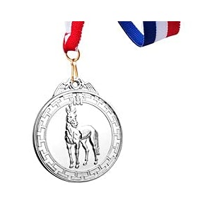 sliver medals for equestrianism match winner customizable logo 2nd awards professional metal medallions with ribbon