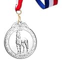 Sliver Medals, for Equestrianism Match Winner, Customizable Logo, 2nd Awards, Professional Metal Medallions, with Ribbon