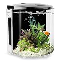Small Fish Tank 1.2 Gallon Aquarium Starter Kit for Home, Office, Room, Decorative Desktop, Betta Fish Tank with Filter and Light for Shrimp, Jellyfish, Goldfish