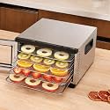 Food Dehydrator Machine - 5 Stainless Steel Trays, Digital Adjustable Timer, 400W, 176°F, Temperature Control, Mini Dryer for Jerky, Herb, Meat, Beef, Fruit and Dog Treats, Model 2015YJ, Silver
