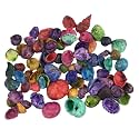 Small Indian Shell，Conch Mix Dyed(8OZ).Suitable for Vase Filling, Decorative Fish Tank, Etc.