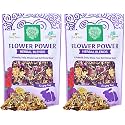 Small Pet Select - Flower Power Herbal Blend, a Natural Herbal Treat for Rabbits and Guinea Pigs, 2.5oz (Pack of 2)