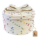 Small Toy Basket with Lid, Cute Woven Basket for Gift Empty (L, Rainbow)