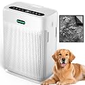 Air Purifiers for Home Large Room Up to 3000 sq ft, H13 HEPA Filter Washable, PM2.5 Air Quality Sensor, Quiet Sleep Mode, 8X Dual-Side Air Cleaner for Bedroom Pet Dander Smoke Dust Pollen