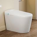 Eridanus One Piece Smart Bidet Toilet, Auto Lid, Wash &amp; Dry, White