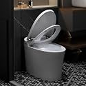 Smart Toilet, Bidet Toilet with Heated Seat, Dual Flush, Foot Sensor, LED Display, Warm Water and Dryer, Remote Control, One Piece Toilet for Bathroom