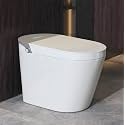 Eridanus One Piece Smart Bidet Toilet, Wash &amp; Dry, Heated Seat, White Gray