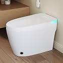 Eridanus One Piece Smart Bidet Toilet, Wash & Dry, Foot Sensor Flush