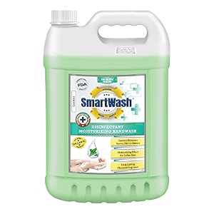 moisturizing handwash soap with extra strong germ disinfectant protection cool mint 5l