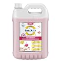 Moisturizing HandWash Soap with Extra Strong Germ Disinfectant Protection (Gentle Geranium), 5L