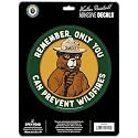 Smokey Bear Only You Can Prevent Wildfires Adhesive Vinyl Decal