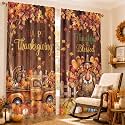SmoothNovelty 2 Pcs Thanksgiving Curtains for Living Room Turkey Pumpkin
