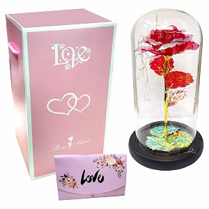 snaptron gifts for girlfriend wife - rose dome valentine amp birthday gift