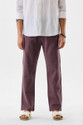 Snitch Regular Fit Men Maroon Trousers