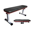 SNOWA Foldable Flat Travel Weight Bench for Multipurpose Fitness Exercise Gym Workout, Heavy Duty Bench for Home & Pro Gym Fold to 6 inch High (42 inch, Silver) Weight Limit: 200 Kg