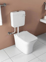 Snowberry Lino S TRAP Premium Quality Luxurious