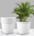 SNSHOPEE Heavy Duty 10 inch dia. Vase