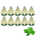 So Sweet Stevia Liquid Sugar Free Natural Zero Calorie Sweetener (Pack of 10) 1000 Drops - (100 Drops Each)